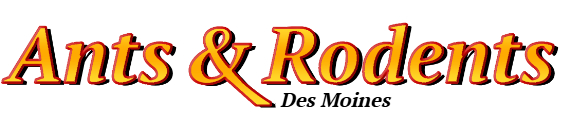 Des Moines Ant Exterminator & Rodent Control Company Logo